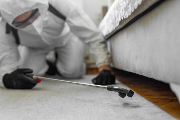 Professional Termite Control technician working in Fords, NJ